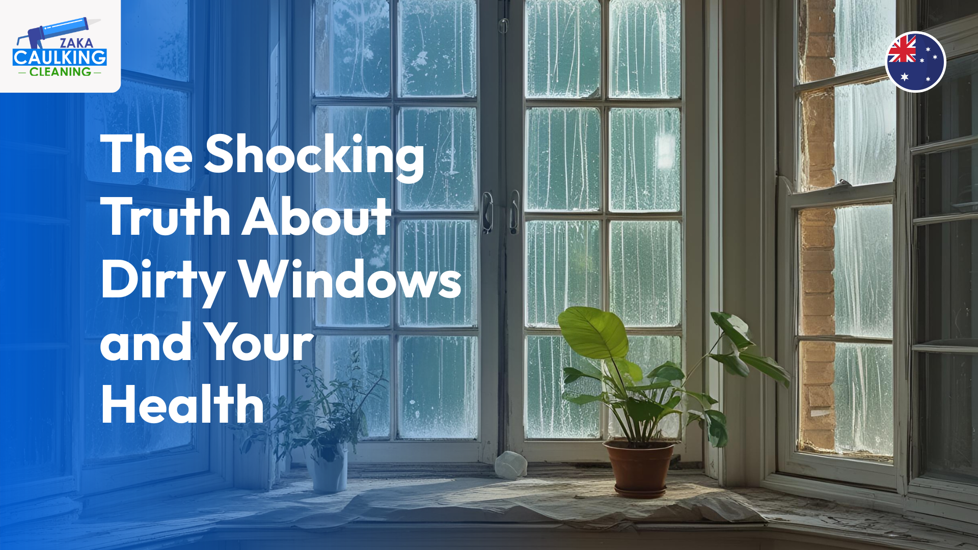 The Shocking Truth About Dirty Windows and Your Health