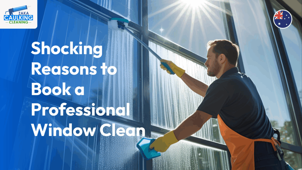 Shocking Reasons to Book a Professional Window Clean