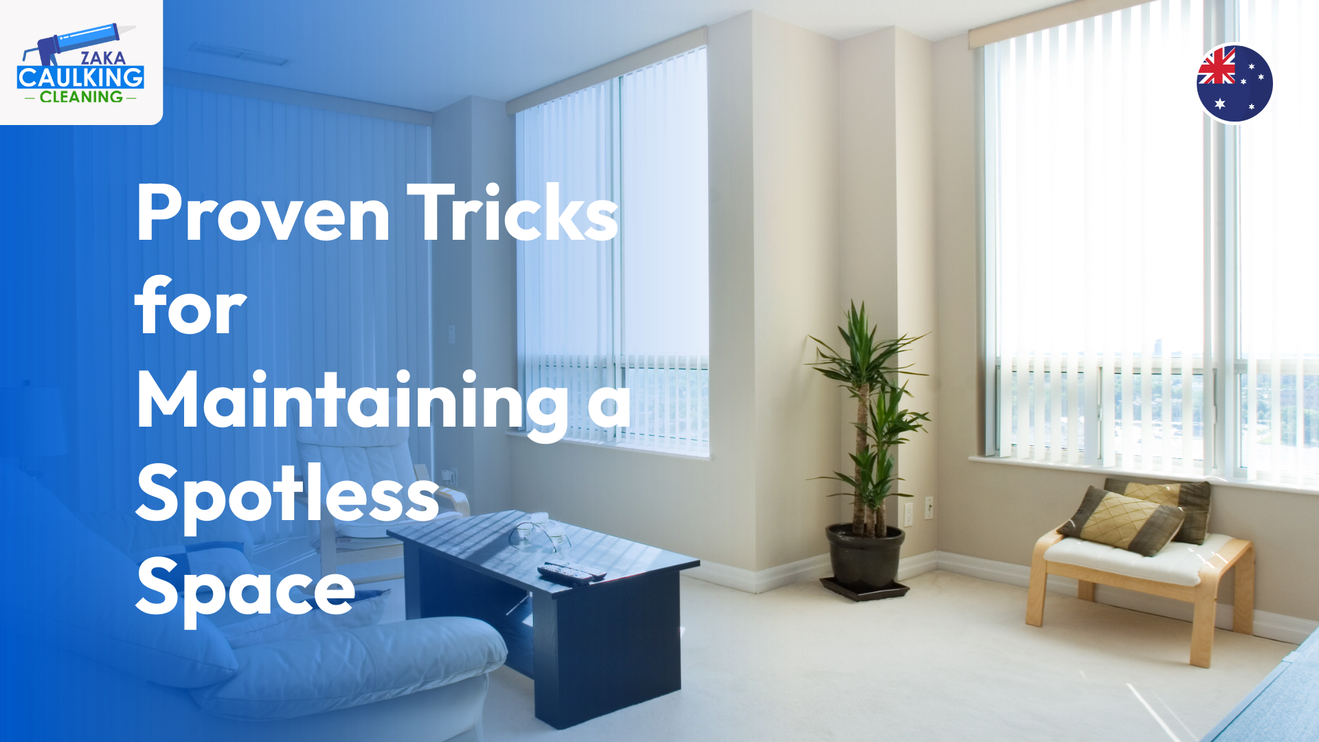 Proven Tricks for Maintaining a Spotless Space